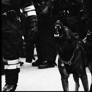 解密家庭监控视频在线观看
