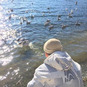 解密家庭监控视频在线观看
